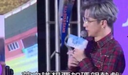 扒姐爆料薛之谦视频播放,薛之谦视频播放背后的惊人真相